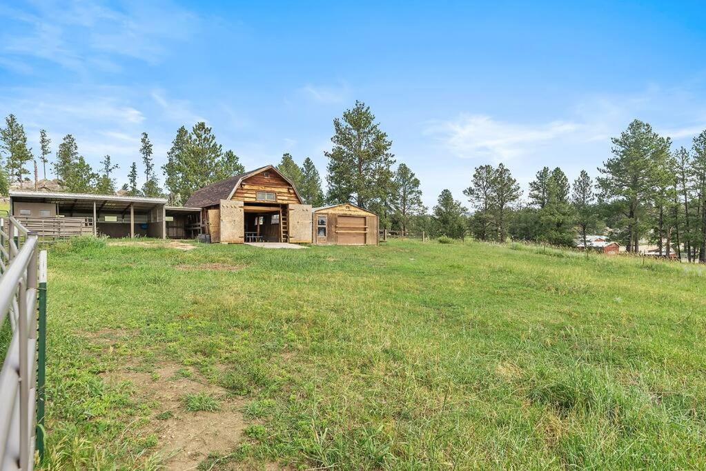 Papa'S Place On Willow Creek Custer Esterno foto